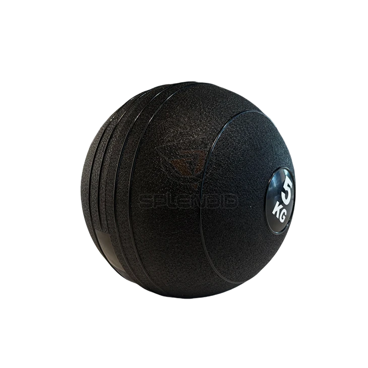Weighted Slam Ball